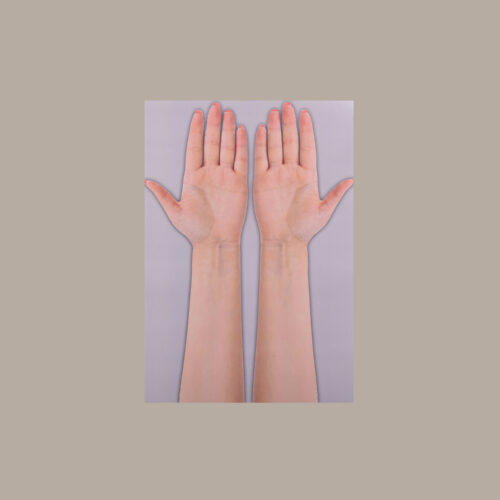 Papper Hand (A3 size)(10 Pieces)